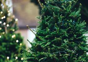 Foto de un árbol de Navidad
