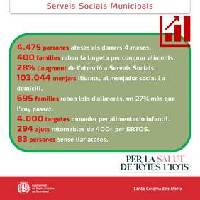 Infografia de Serveis Socials