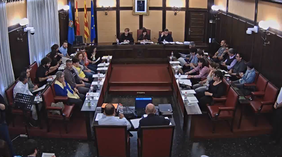 Ple Municipal
