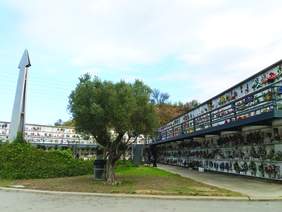 Cementiri municipal Foto