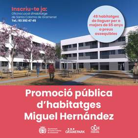 Imatge decorativa 