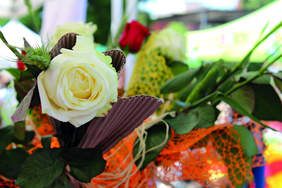 Imatge d'una rosa blanca