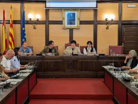 Imatge del Ple Municipal