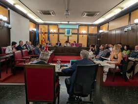 Sessió plenària Foto