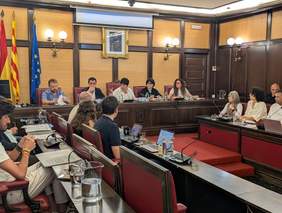 Foto de la sessió plenària de maig de 2026